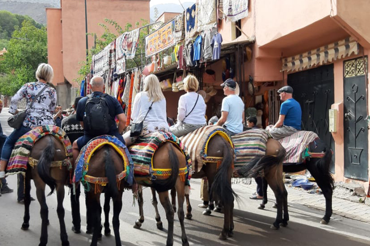 Fes To Middle Atlas Day Trip